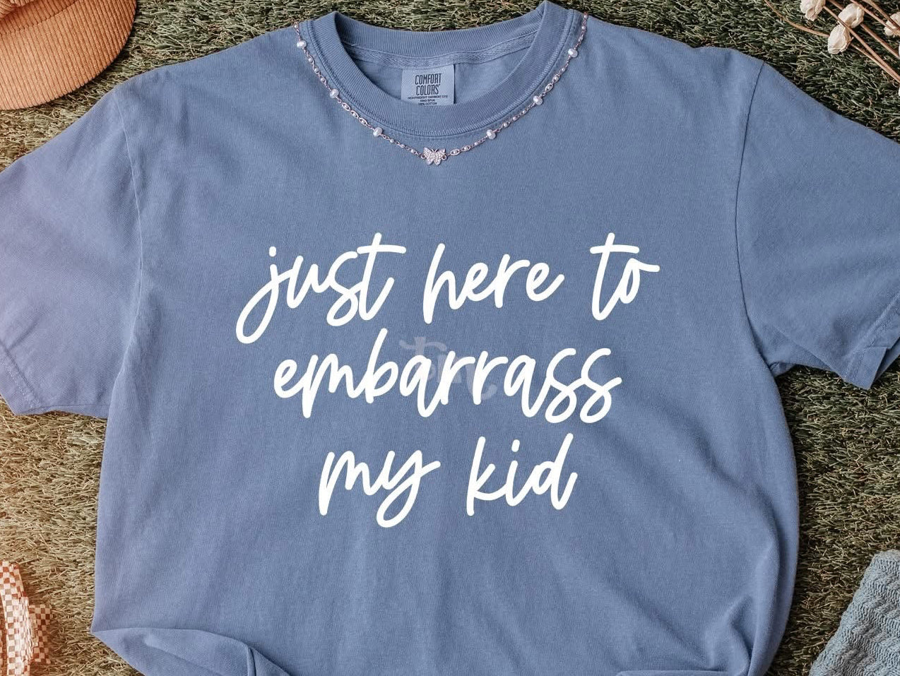 Embarrass My Kid Hooded Sweatshirt