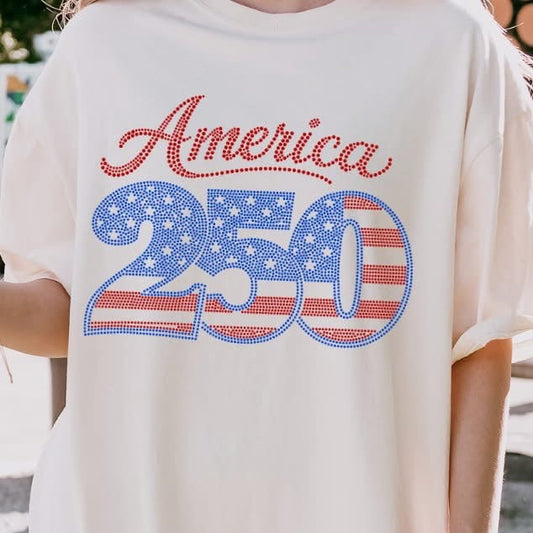 America 250 Hooded Sweatshirt SP