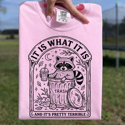 Is What It Is Raccoon Hooded Sweatshirt
